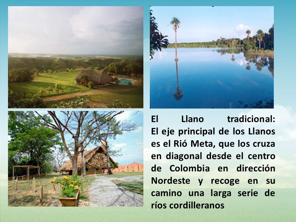 El Llano tradicional: El eje principal de los Llanos es el Rió Meta, que los cruza en diagonal desde el centro de Colombia en dirección Nordeste y recoge en su camino una larga serie de ríos cordilleranos