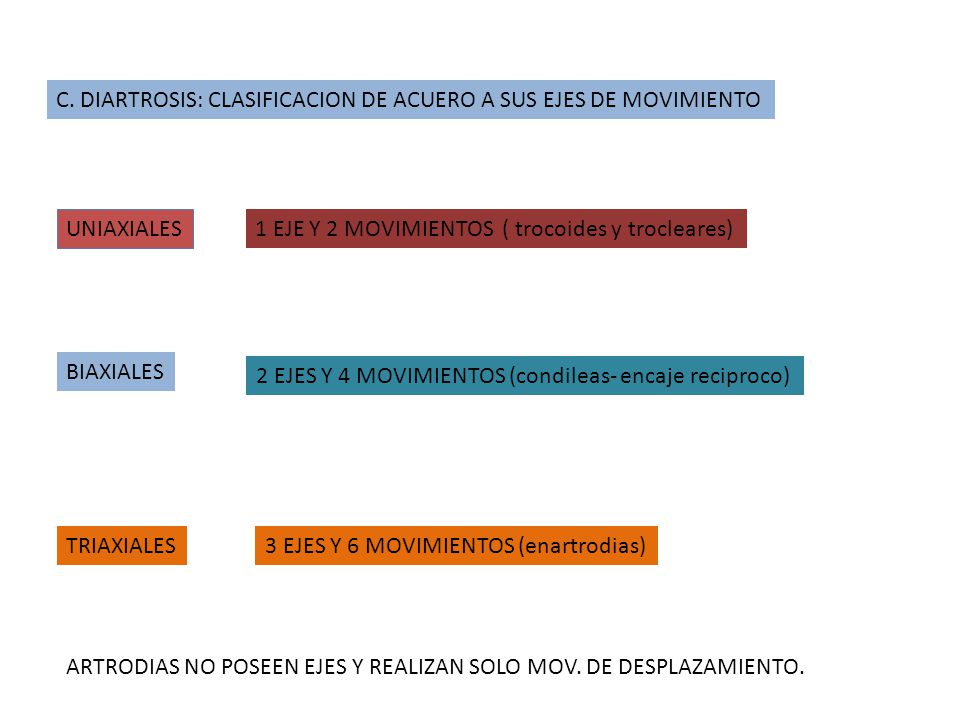 C. DIARTROSIS: CLASIFICACION DE ACUERO A SUS EJES DE MOVIMIENTO