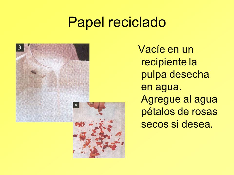 Papel reciclado Vacíe en un recipiente la pulpa desecha en agua.