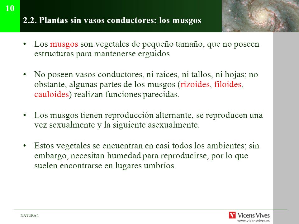2.2. Plantas sin vasos conductores: los musgos