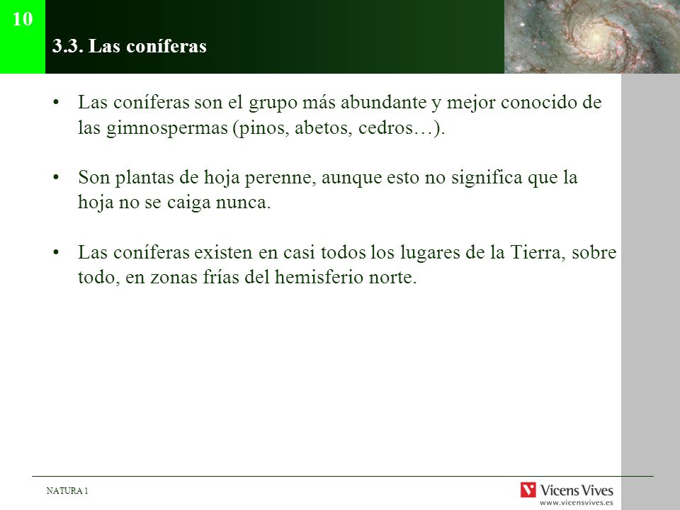 Las coníferas. Las coníferas son el grupo más abundante y mejor conocido de las gimnospermas (pinos, abetos, cedros…).