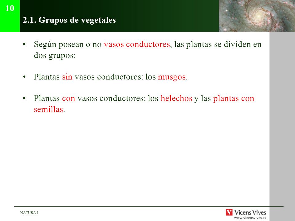 Grupos de vegetales. Según posean o no vasos conductores, las plantas se dividen en dos grupos:
