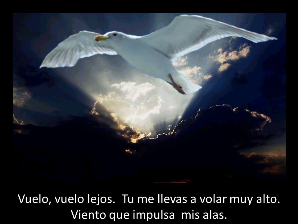 Vuelo, vuelo lejos. Tu me llevas a volar muy alto.
