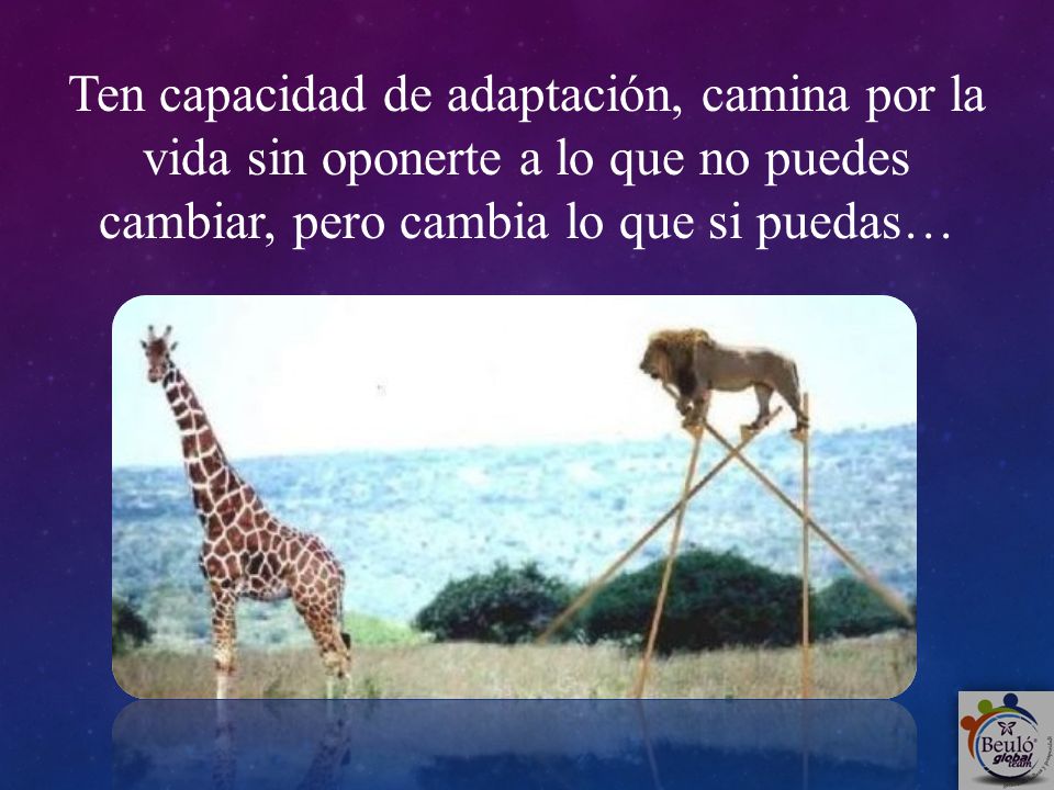 Ten capacidad de adaptación, camina por la vida sin oponerte a lo que no puedes cambiar, pero cambia lo que si puedas…