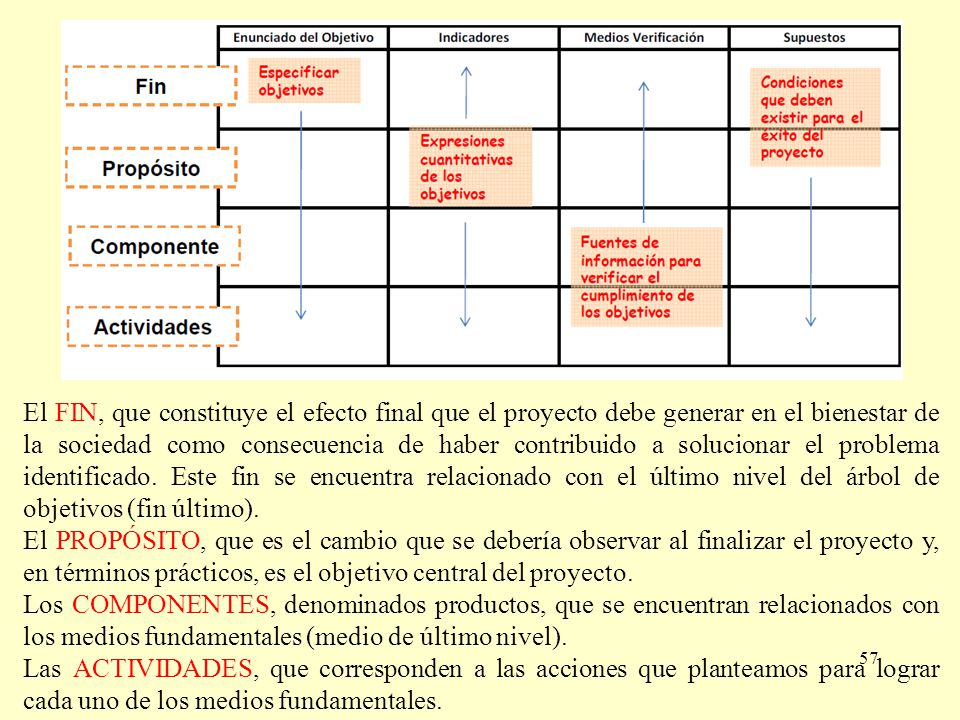El FIN, que constituye el efecto final que el proyecto debe generar en el bienestar de la sociedad como consecuencia de haber contribuido a solucionar el problema identificado. Este fin se encuentra relacionado con el último nivel del árbol de objetivos (fin último).