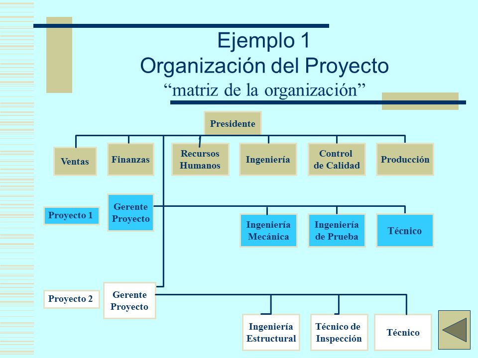 Ejemplo 1 Organización del Proyecto matriz de la organización