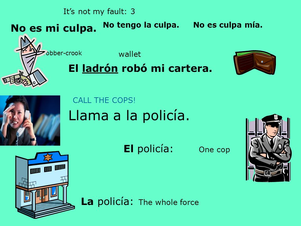 Llama a la policía. No es mi culpa. El ladrón robó mi cartera.