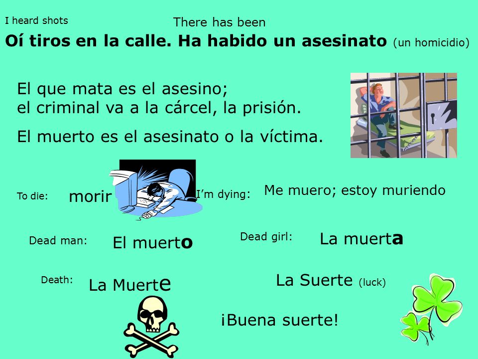 Oí tiros en la calle. Ha habido un asesinato (un homicidio)