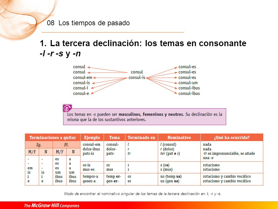 La tercera declinación: los temas en consonante -l -r -s y -n