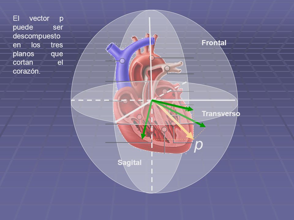 El vector p puede ser descompuesto en los tres planos que cortan el corazón.