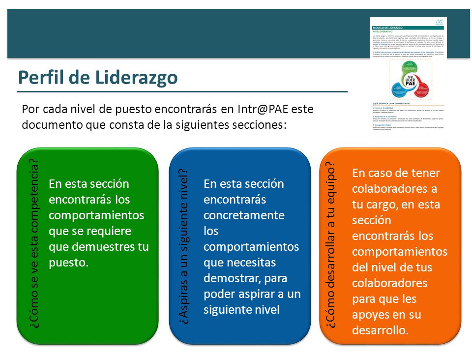 Perfil de Liderazgo Por cada nivel de puesto encontrarás en este documento que consta de la siguientes secciones: