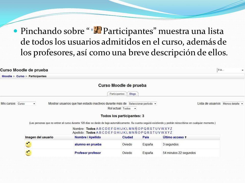 Pinchando sobre Participantes muestra una lista de todos los usuarios admitidos en el curso, además de los profesores, así como una breve descripción de ellos.