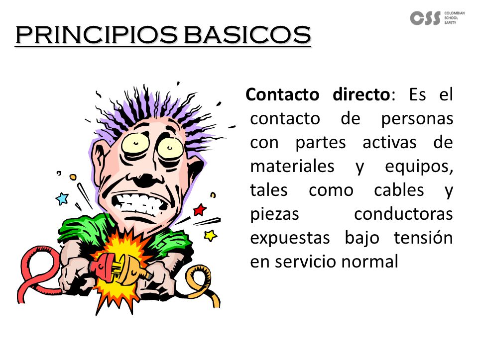 PRINCIPIOS BASICOS