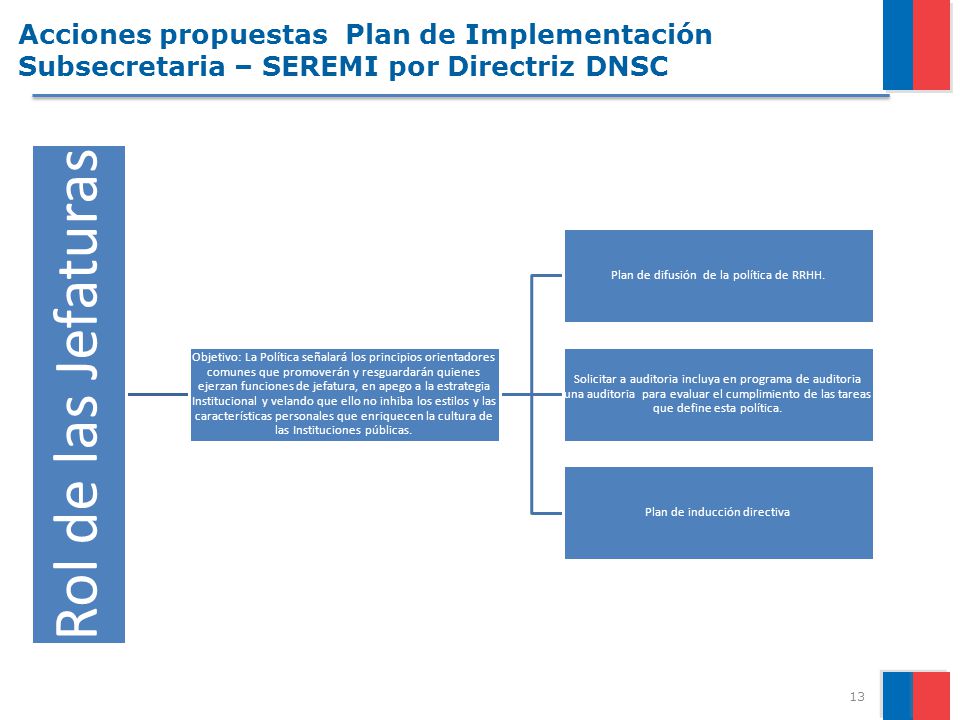 Acciones propuestas Plan de Implementación Subsecretaria – SEREMI por Directriz DNSC