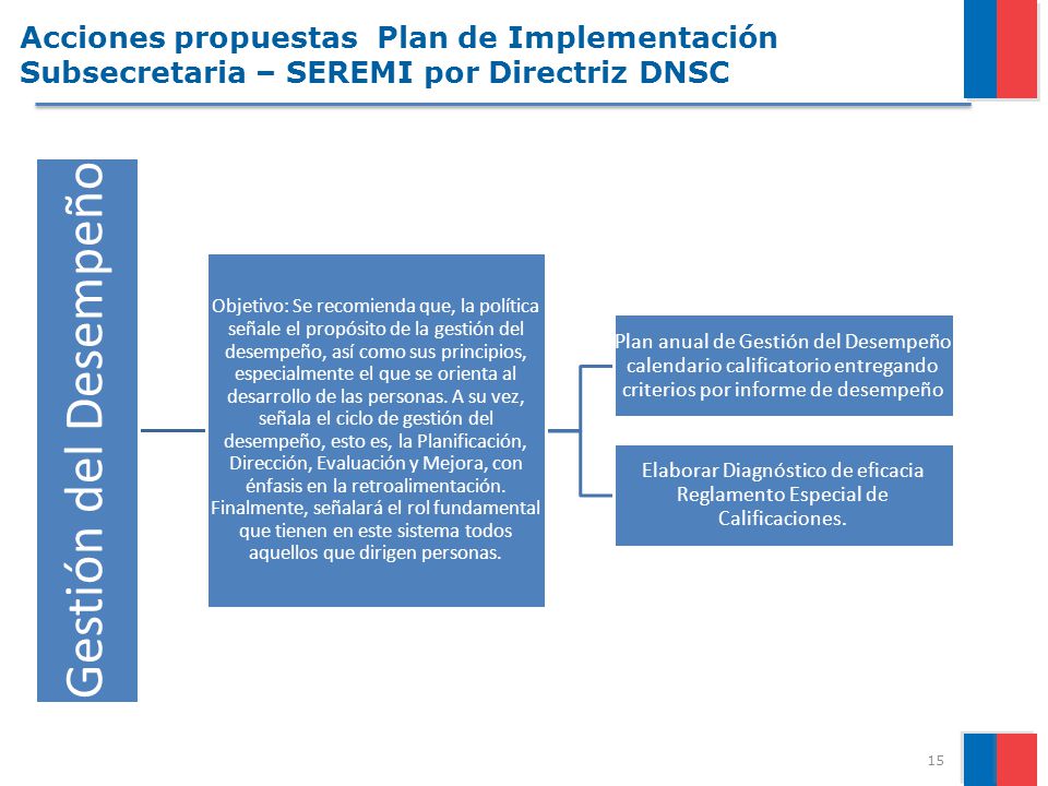Acciones propuestas Plan de Implementación Subsecretaria – SEREMI por Directriz DNSC