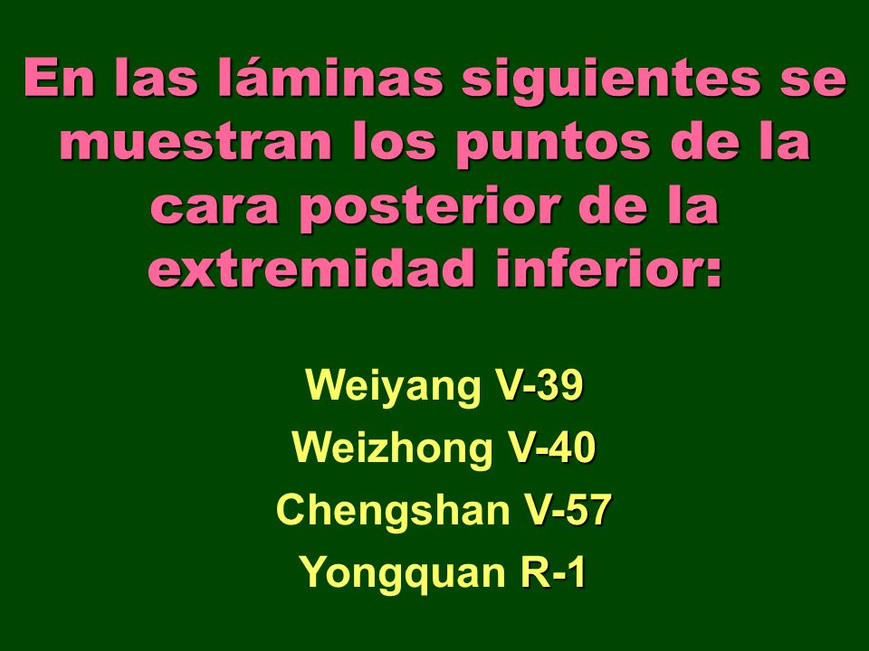En las láminas siguientes se muestran los puntos de la cara posterior de la extremidad inferior: