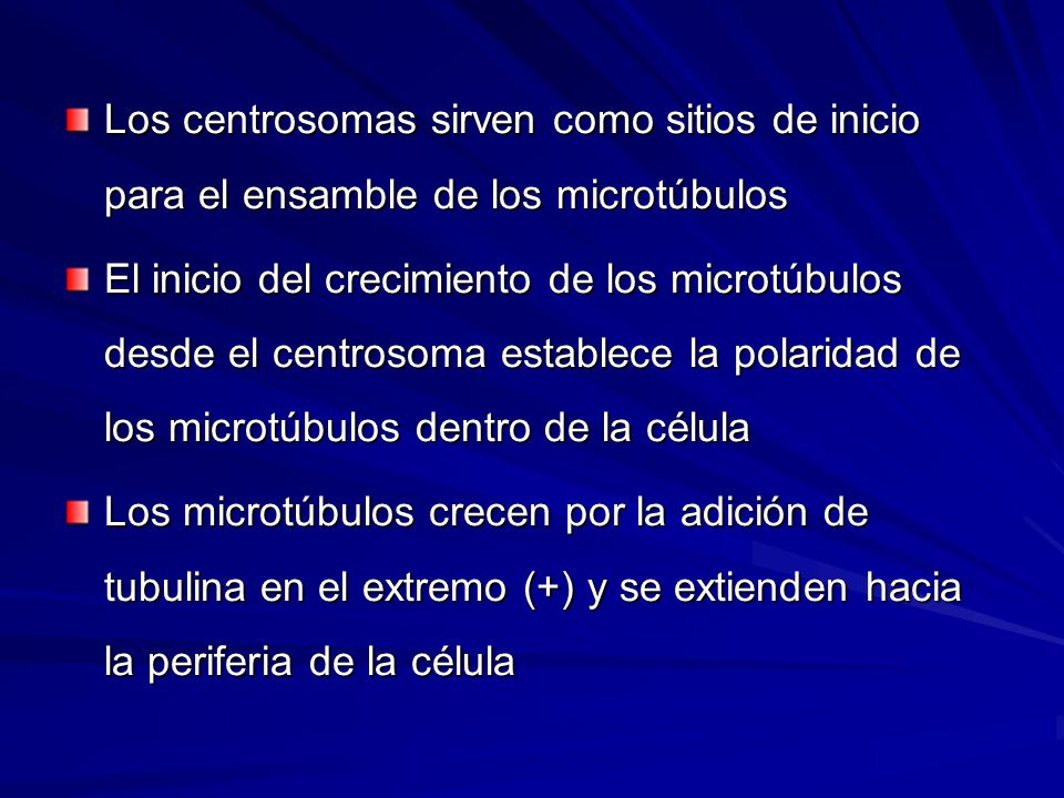 Los centrosomas sirven como sitios de inicio para el ensamble de los microtúbulos