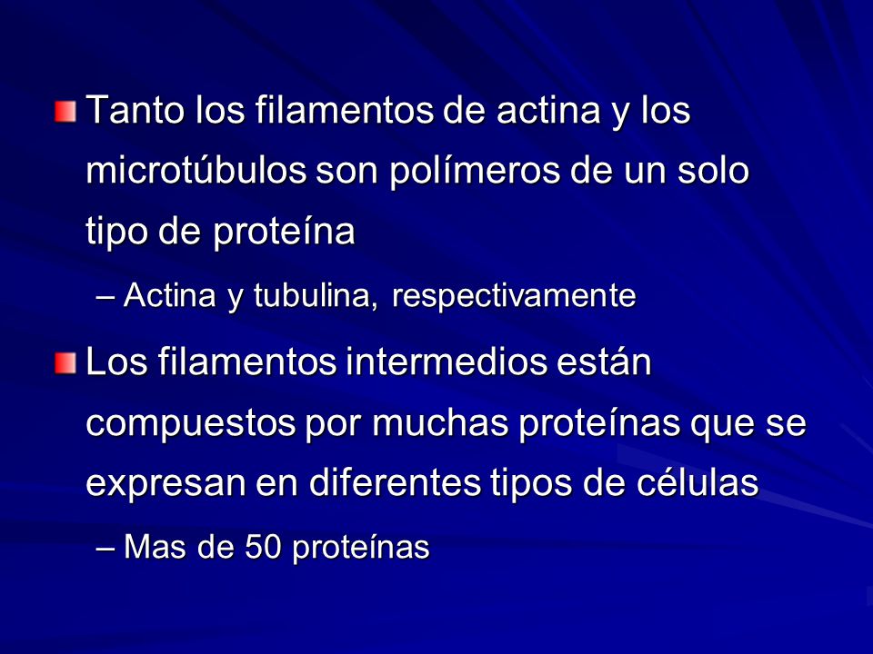 Tanto los filamentos de actina y los microtúbulos son polímeros de un solo tipo de proteína