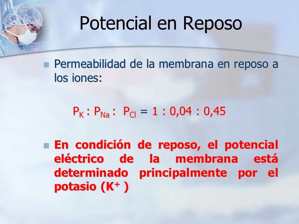 Potencial en Reposo Permeabilidad de la membrana en reposo a los iones: PK : PNa : PCl = 1 : 0,04 : 0,45.
