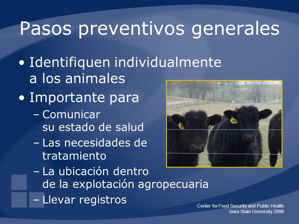 Pasos preventivos generales