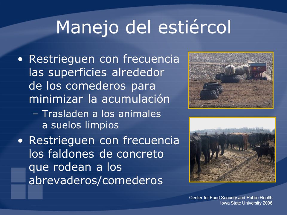 Manejo del estiércol Restrieguen con frecuencia las superficies alrededor de los comederos para minimizar la acumulación.
