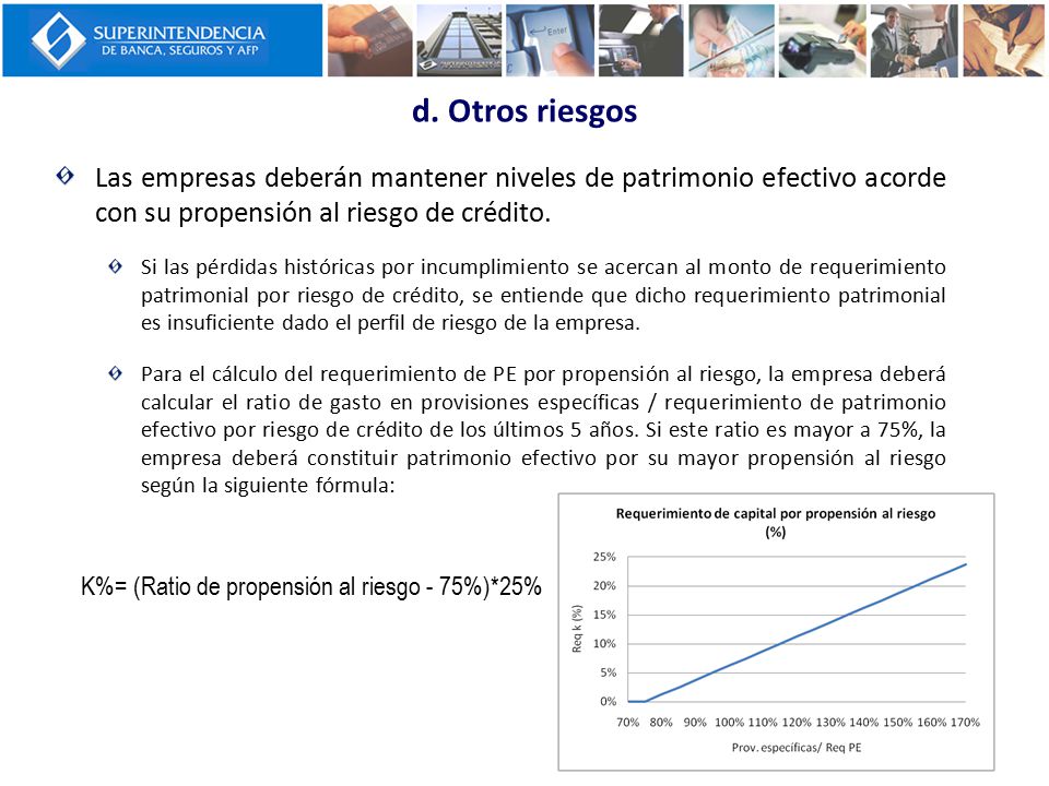 d. Otros riesgos Las empresas deberán mantener niveles de patrimonio efectivo acorde con su propensión al riesgo de crédito.