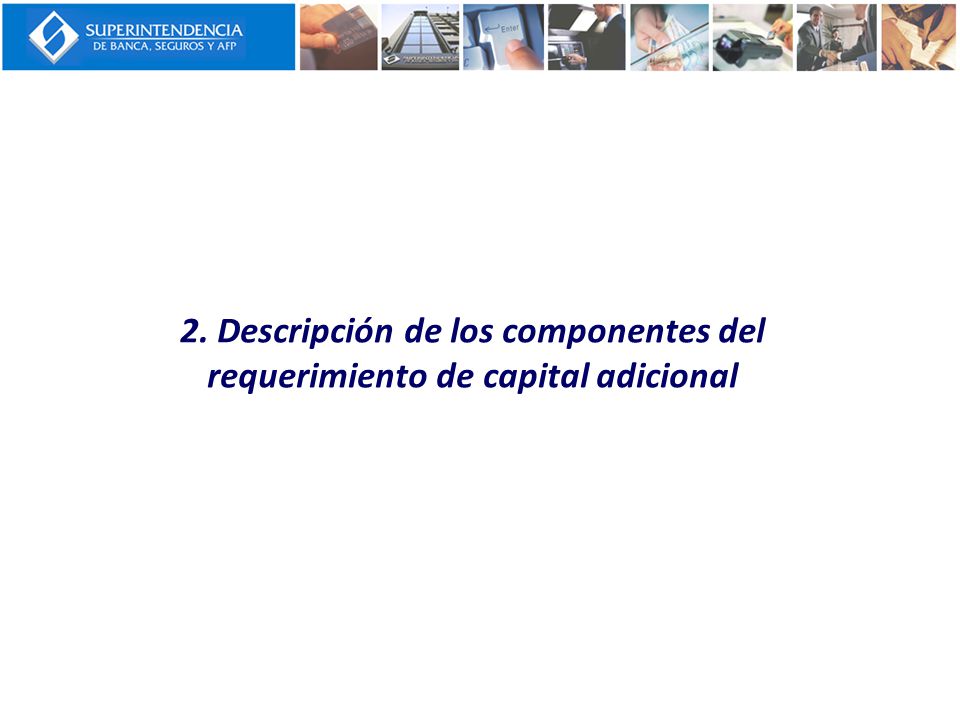 2. Descripción de los componentes del requerimiento de capital adicional