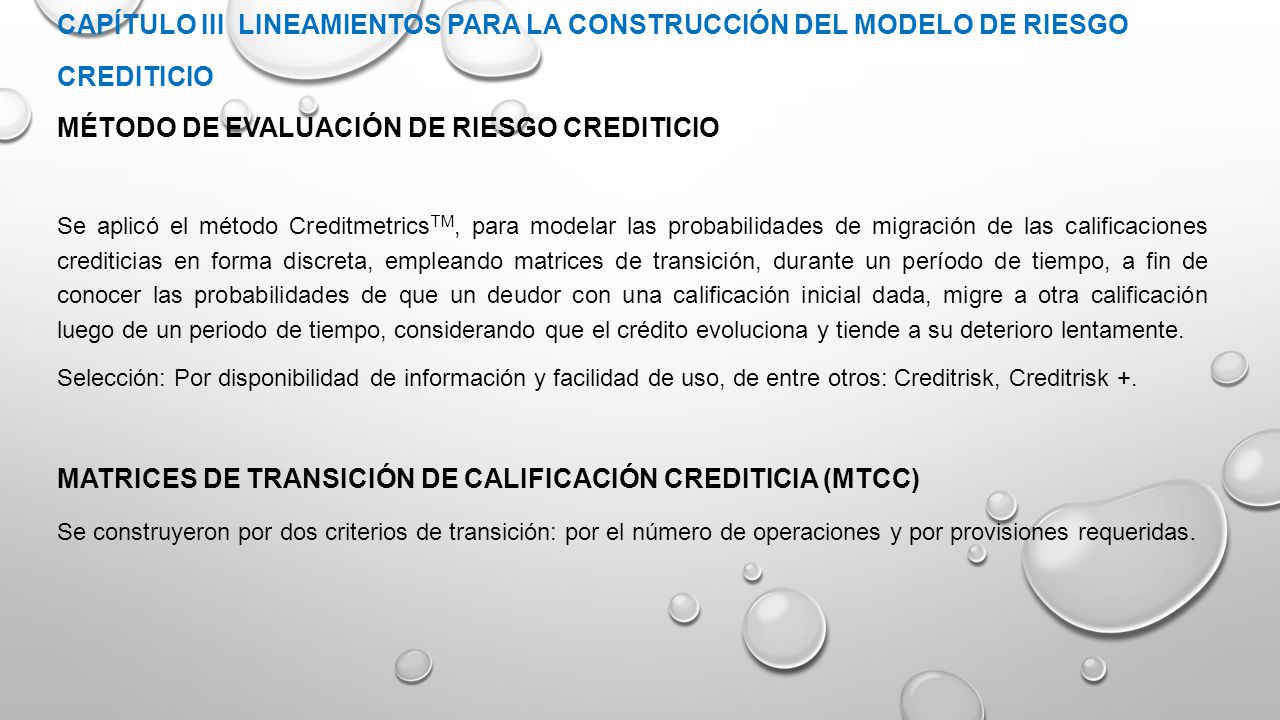 CAPÍTULO III LINEAMIENTOS PARA LA CONSTRUCCIÓN DEL MODELO DE RIESGO