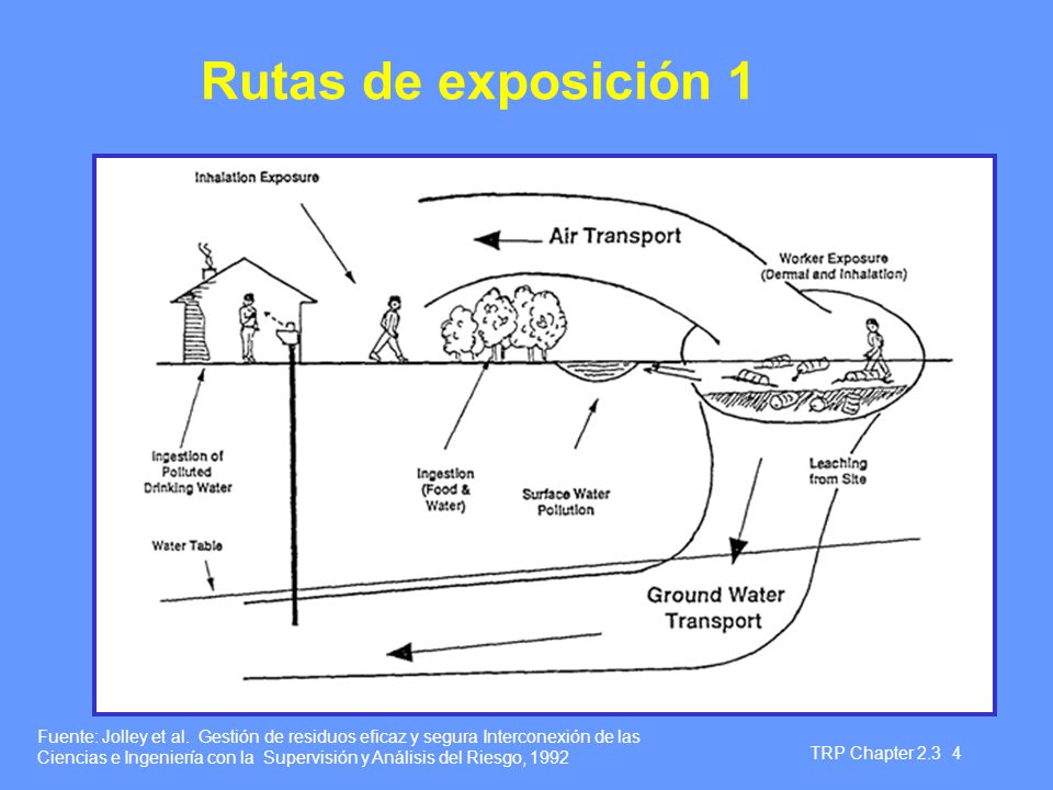 Rutas de exposición 1 Diapositiva 4 Rutas de exposición 1.