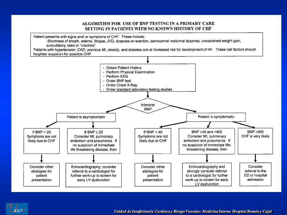 Figure 3. Algorithm for using B-type natriuretic peptide (BNP) testing in the primary care setting. CAD coronary artery disease; CHF congestive