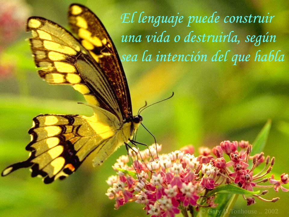 El lenguaje puede construir una vida o destruirla, según sea la intención del que habla