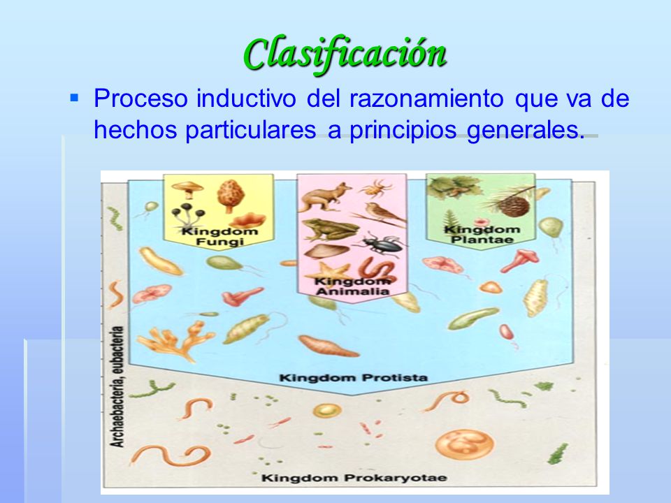 Clasificación Proceso inductivo del razonamiento que va de hechos particulares a principios generales.