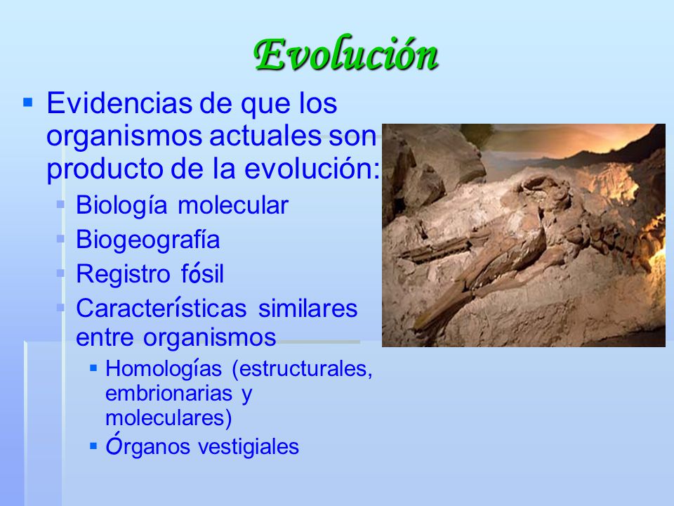 Evolución Evidencias de que los organismos actuales son producto de la evolución: Biología molecular.