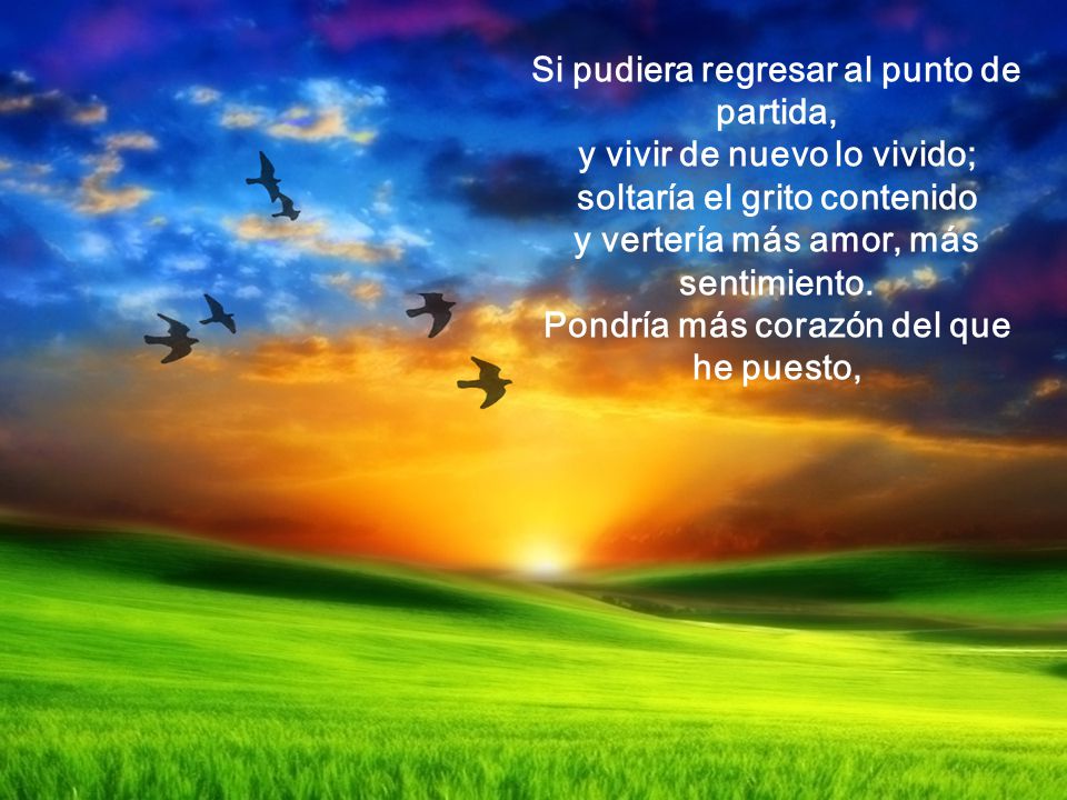 Si pudiera regresar al punto de partida, y vivir de nuevo lo vivido; soltaría el grito contenido y vertería más amor, más sentimiento.