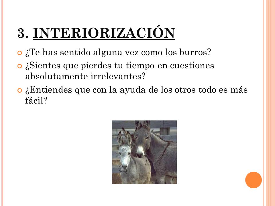 3. INTERIORIZACIÓN ¿Te has sentido alguna vez como los burros