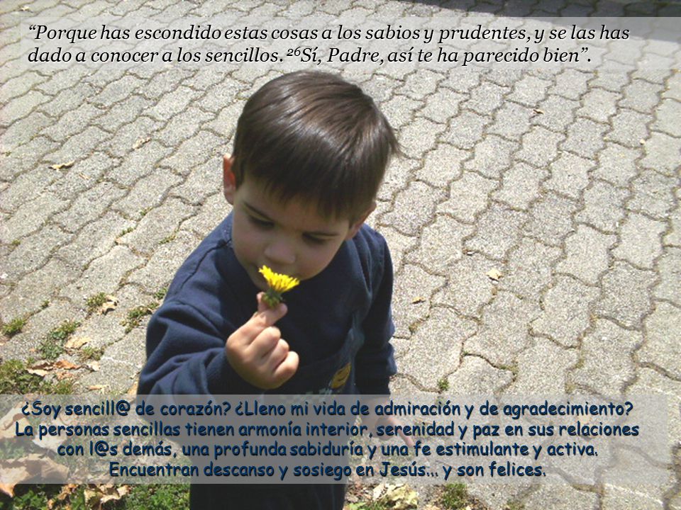 Porque has escondido estas cosas a los sabios y prudentes, y se las has dado a conocer a los sencillos. 26Sí, Padre, así te ha parecido bien .