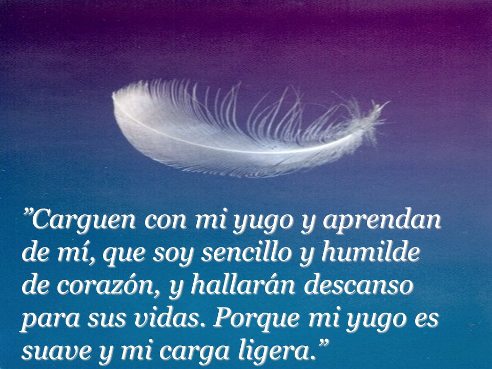 Carguen con mi yugo y aprendan de mí, que soy sencillo y humilde de corazón, y hallarán descanso para sus vidas.