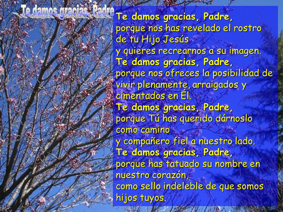 Te damos gracias, Padre Te damos gracias, Padre, porque nos has revelado el rostro de tu Hijo Jesús.