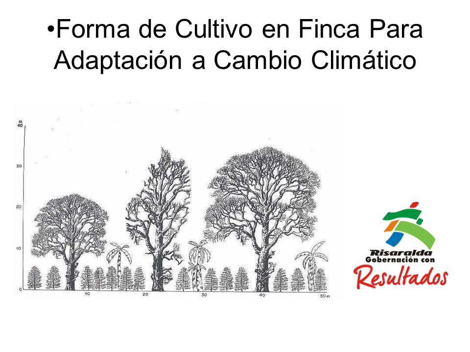 Forma de Cultivo en Finca Para Adaptación a Cambio Climático