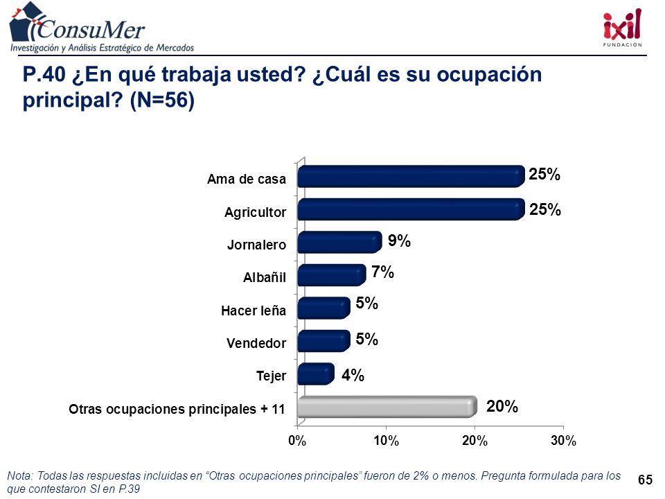 P.40 ¿En qué trabaja usted ¿Cuál es su ocupación principal (N=56)