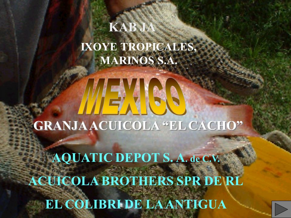 MEXICO KAB JA GRANJA ACUICOLA EL CACHO AQUATIC DEPOT S. A. de C.V.