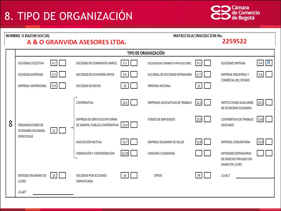 8. TIPO DE ORGANIZACIÓN A & O GRANVIDA ASESORES LTDA X