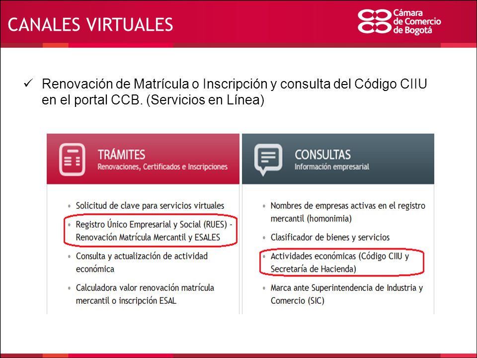 CANALES VIRTUALES Renovación de Matrícula o Inscripción y consulta del Código CIIU en el portal CCB.