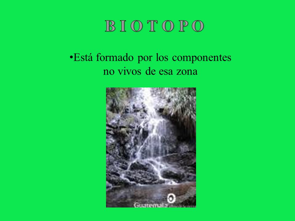 Está formado por los componentes no vivos de esa zona