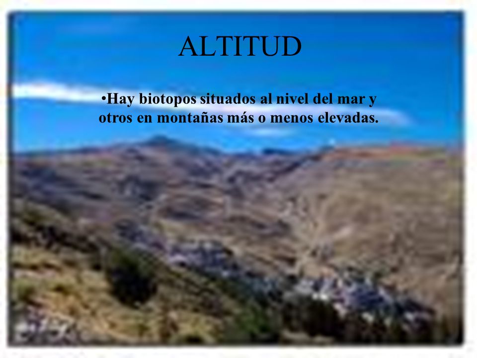 ALTITUD Hay biotopos situados al nivel del mar y otros en montañas más o menos elevadas.