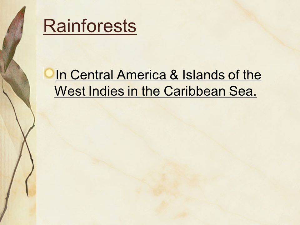 Rainforests In Central America & Islands of the West Indies in the Caribbean Sea.