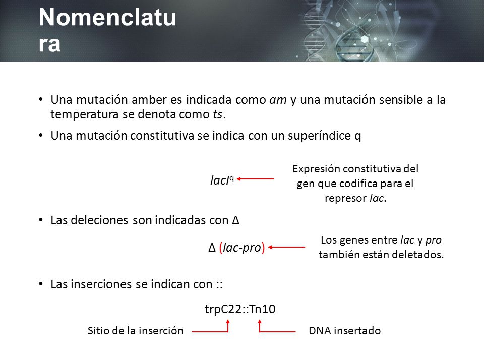 Nomenclatura Una mutación amber es indicada como am y una mutación sensible a la temperatura se denota como ts.