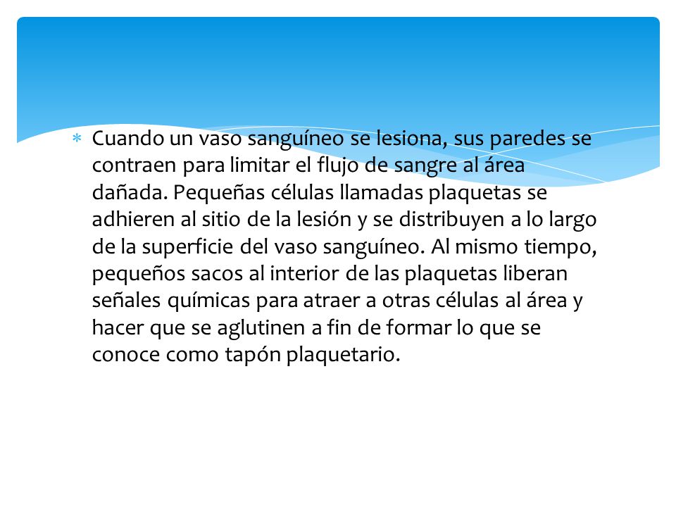 Cuando un vaso sanguíneo se lesiona, sus paredes se contraen para limitar el flujo de sangre al área dañada.