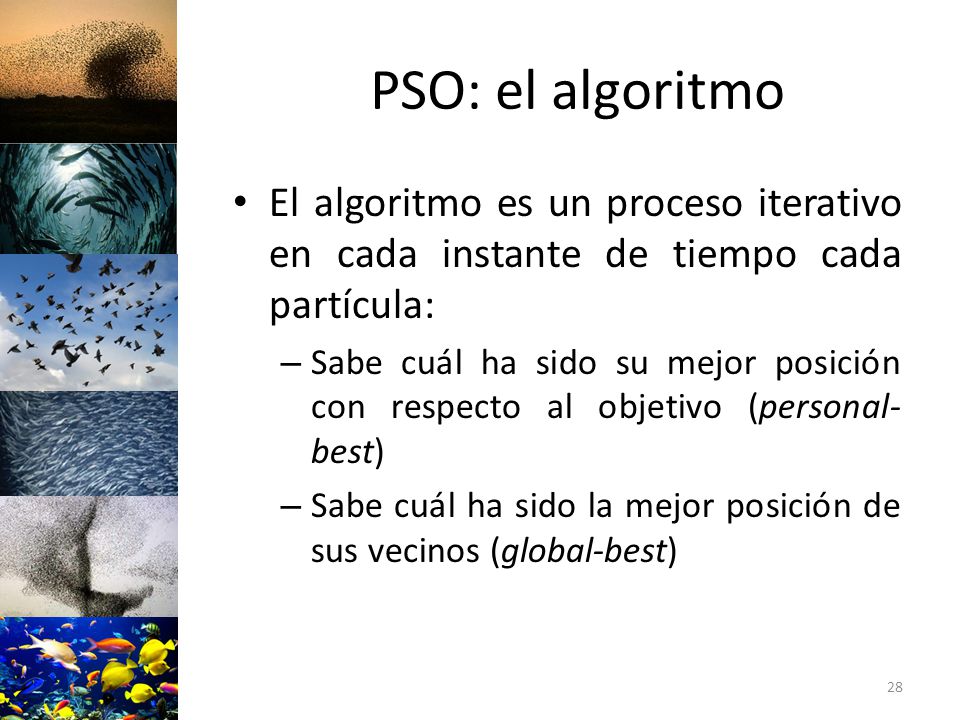 PSO: el algoritmo El algoritmo es un proceso iterativo en cada instante de tiempo cada partícula: