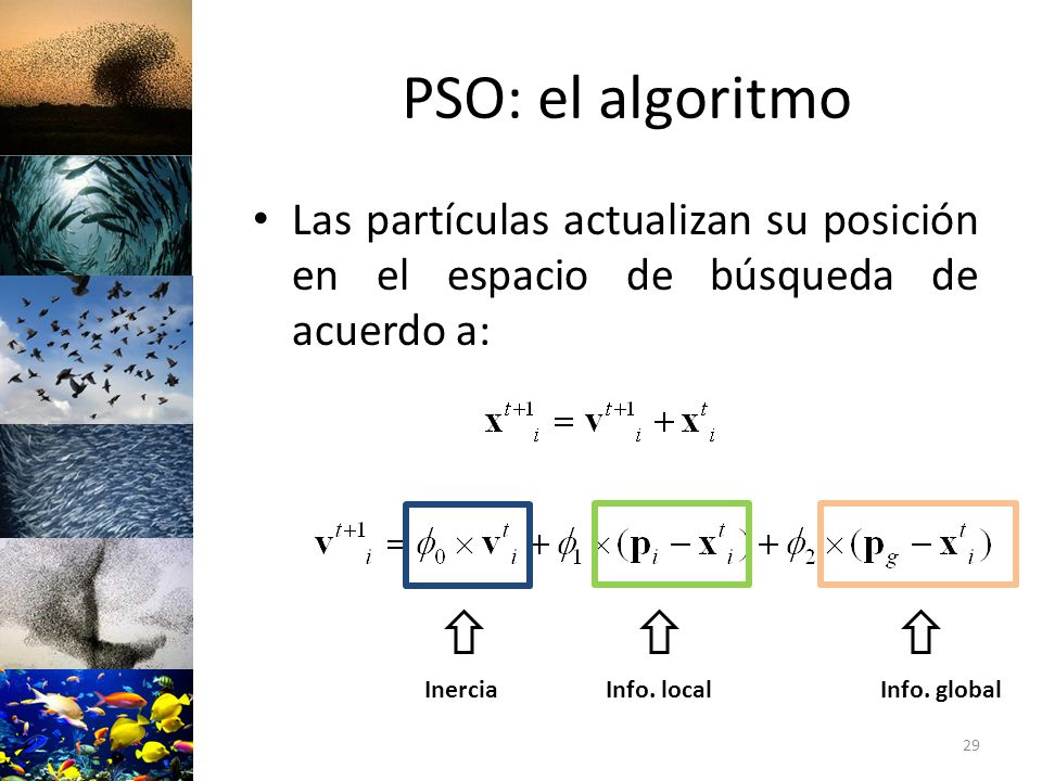 PSO: el algoritmo Las partículas actualizan su posición en el espacio de búsqueda de acuerdo a: Inercia.